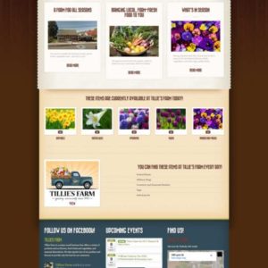 tillies farm new website design